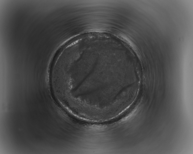 X0000088920779200706291526