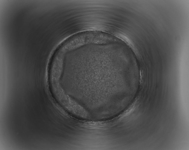 X0000088920780200706291526
