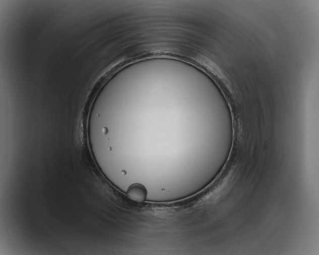X0000088920782200706291526