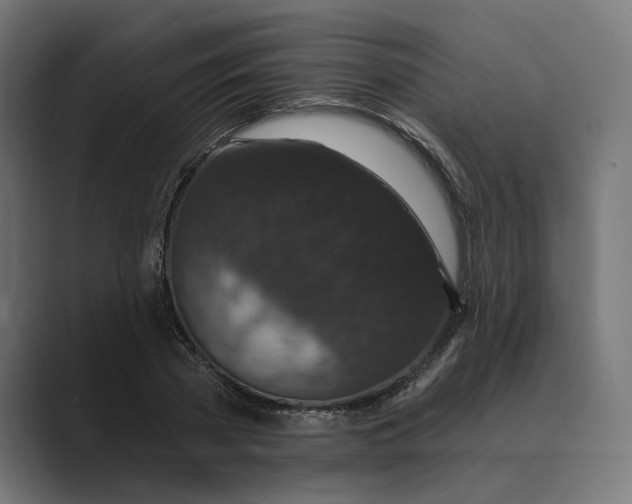X0000088920785200706291526