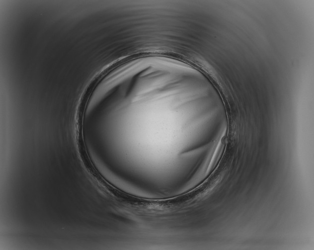 X0000088920787200706291526