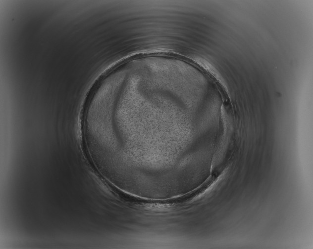 X0000088920789200706291526