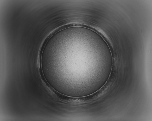 X0000088920791200706291526