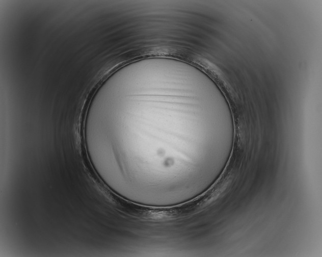 X0000088920794200706291526