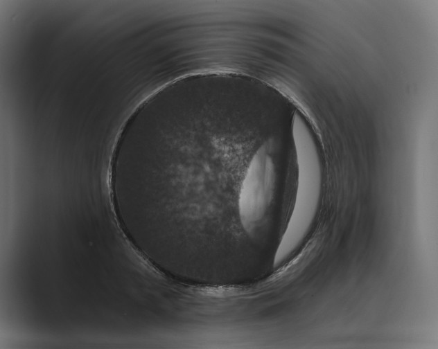 X0000088920797200706291526