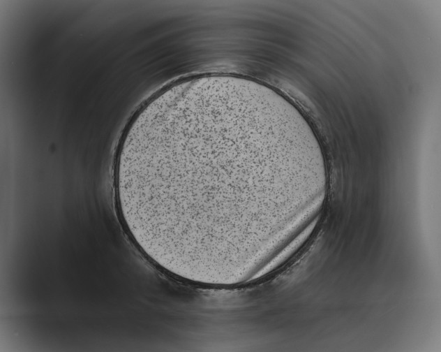 X0000088920800200706291526