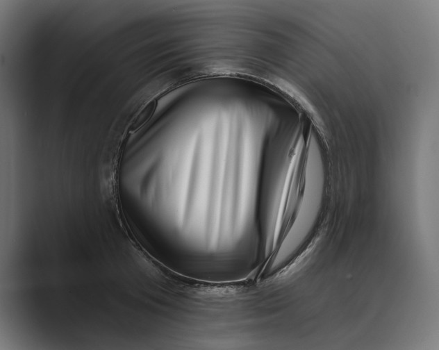 X0000088920801200706291526