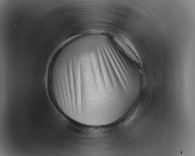 X0000088920803200706291526