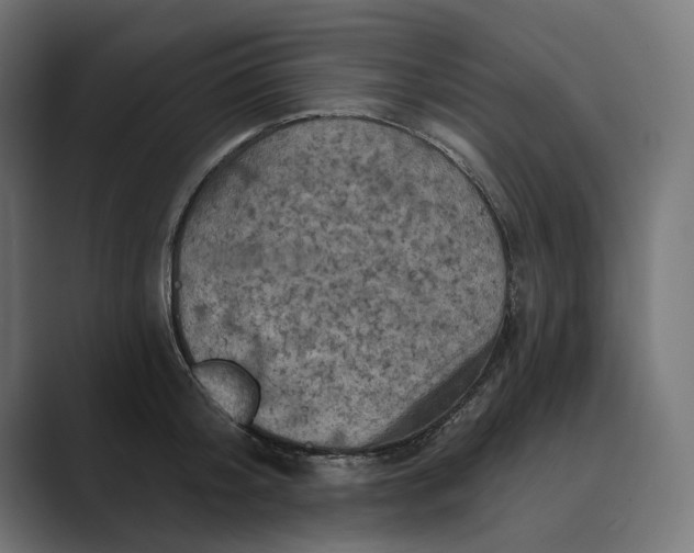 X0000088920804200706291526