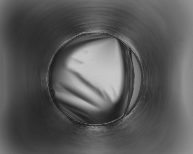 X0000088920805200706291526