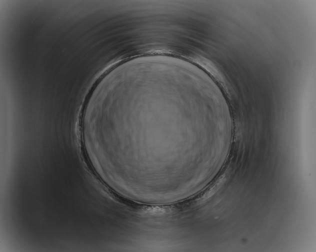 X0000088920806200706291526