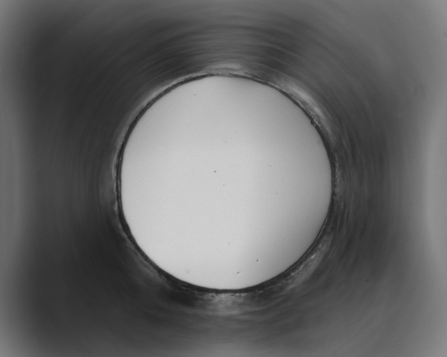 X0000088920808200706291526