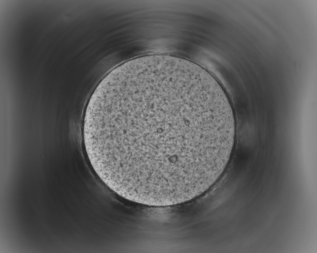 X0000088920810200706291526