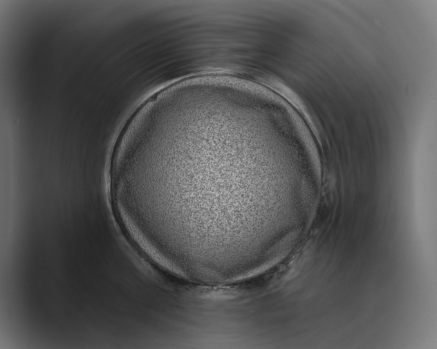 X0000088920811200706291526