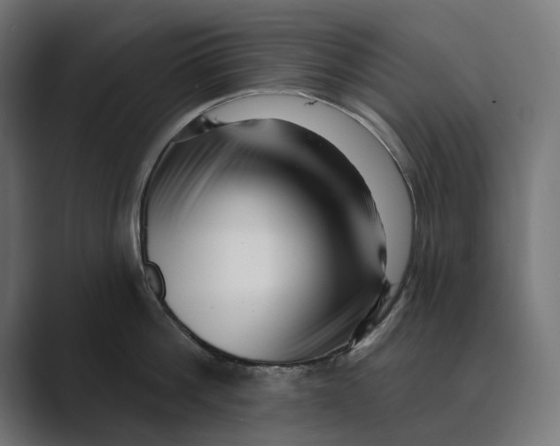 X0000088920812200706291526