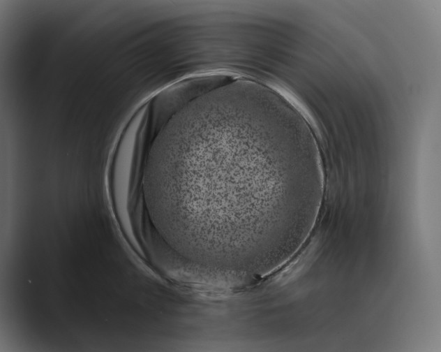 X0000088920813200706291526