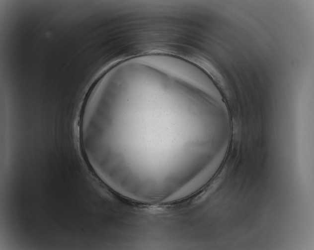 X0000088920814200706291526