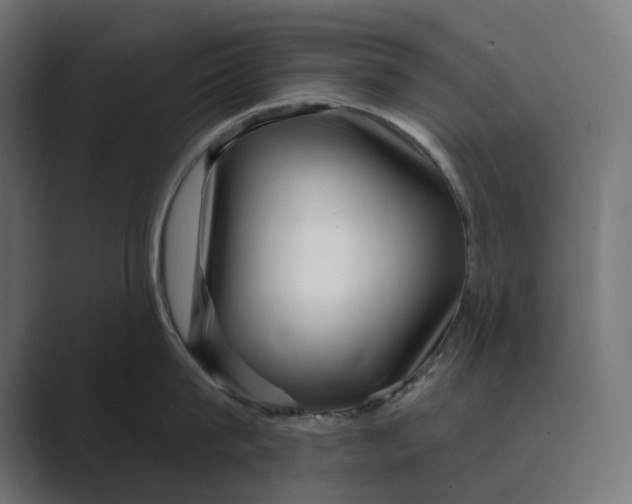 X0000088920815200706291526