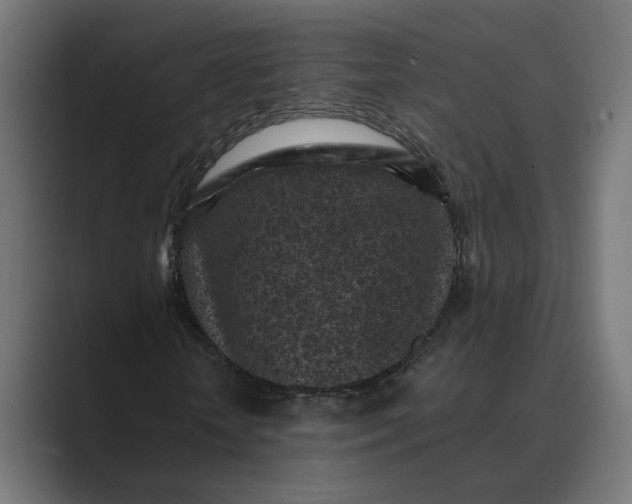 X0000088920818200706291525