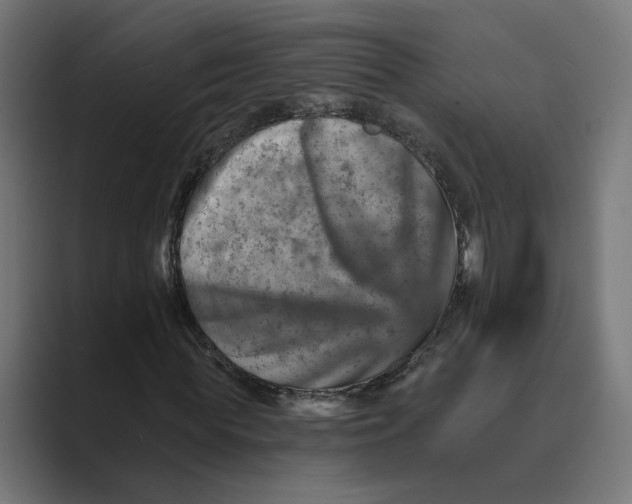 X0000088920819200706291525