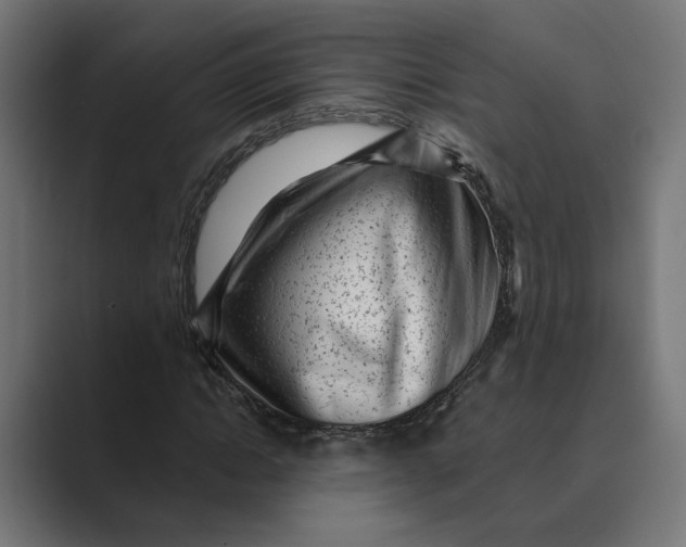 X0000088920822200706291525