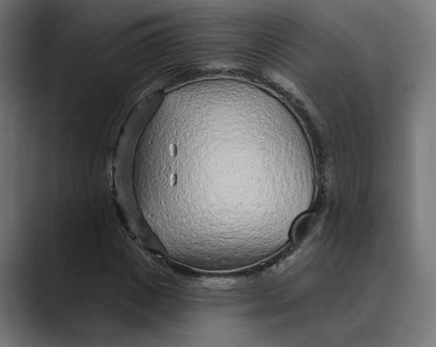 X0000088920825200706291525