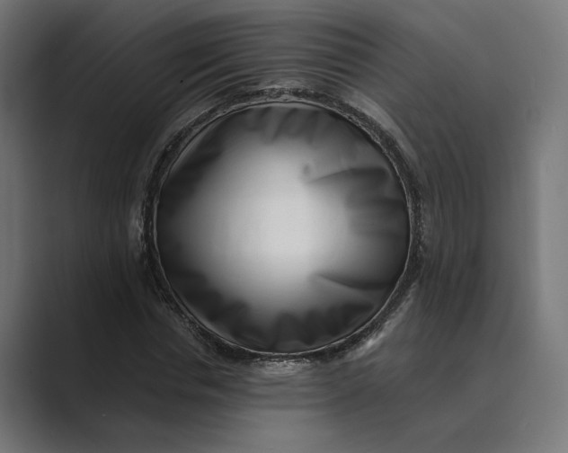 X0000088920826200706291525