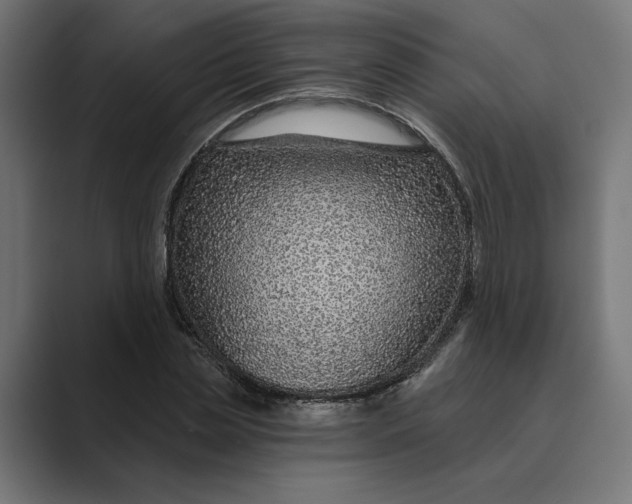 X0000088920829200706291525