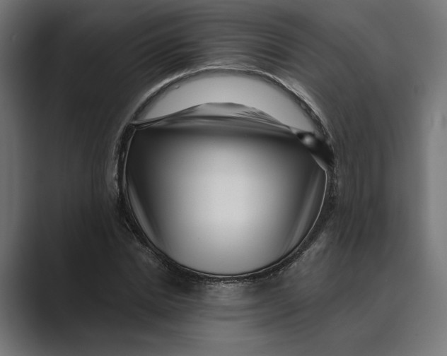X0000088920830200706291525