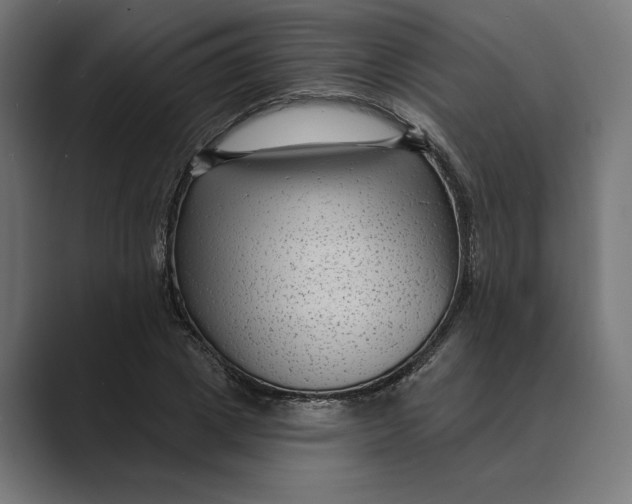 X0000088920833200706291525