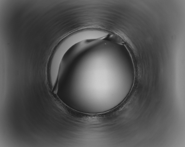 X0000088920834200706291526