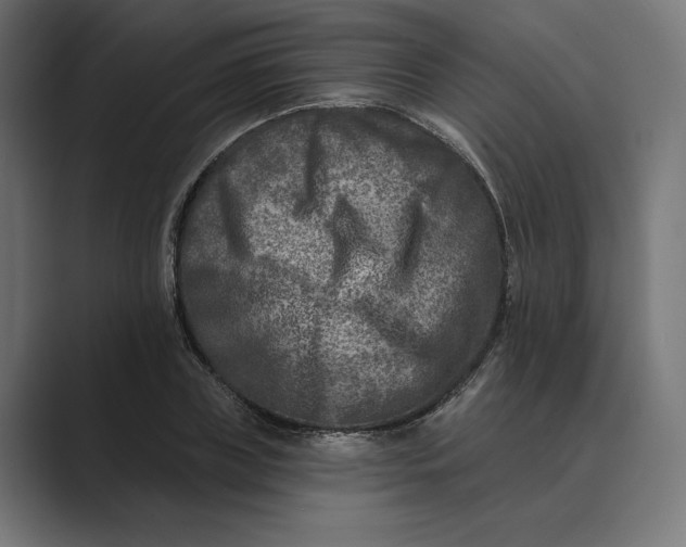 X0000088920835200706291526