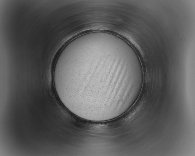 X0000088920837200706291526