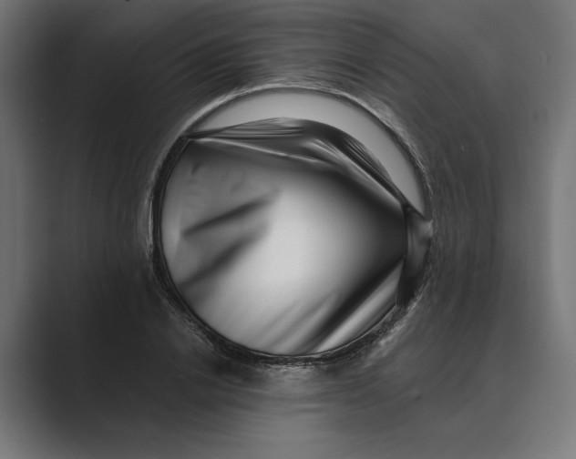 X0000088920838200706291526