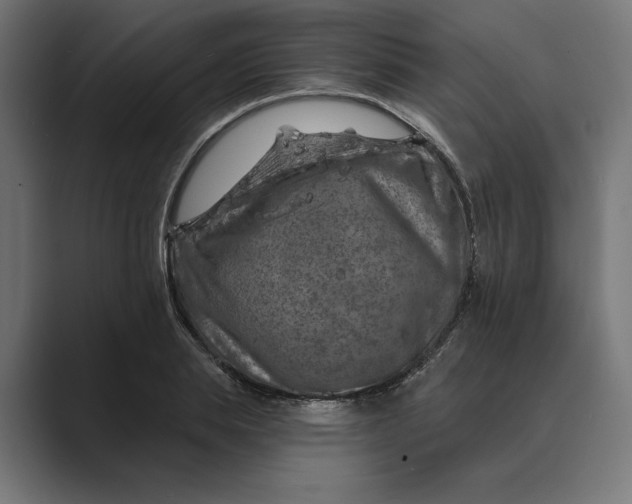 X0000088920839200706291526