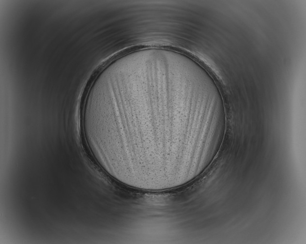 X0000088920840200706291526