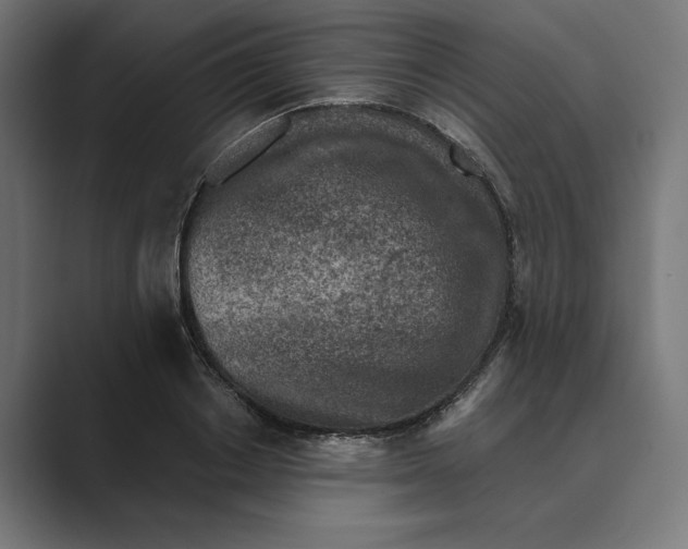 X0000088920842200706291526