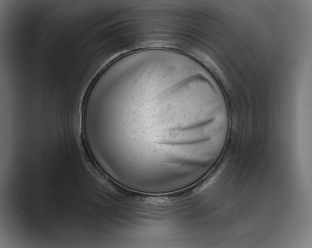 X0000088920844200706291526