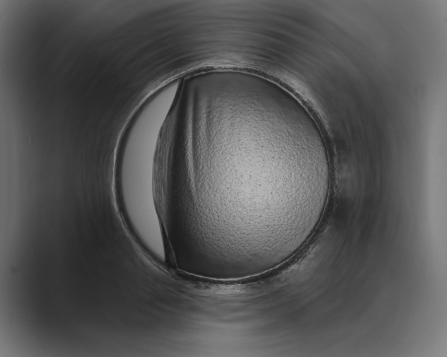X0000088920845200706291526