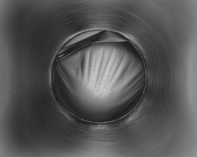 X0000088920846200706291526