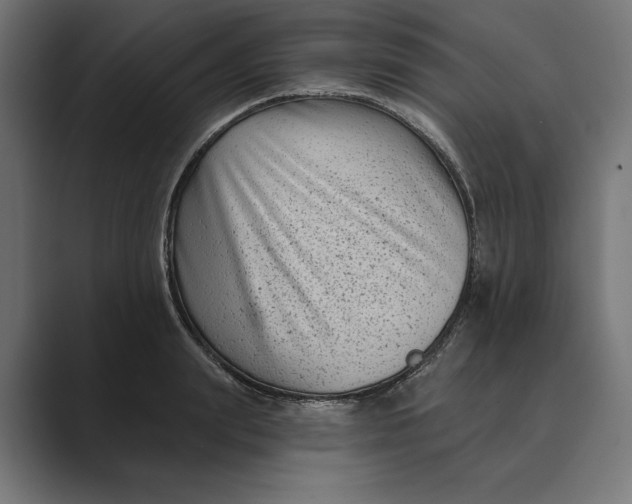X0000088920847200706291526