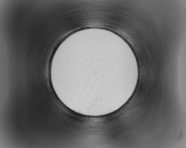 X0000088920848200706291526
