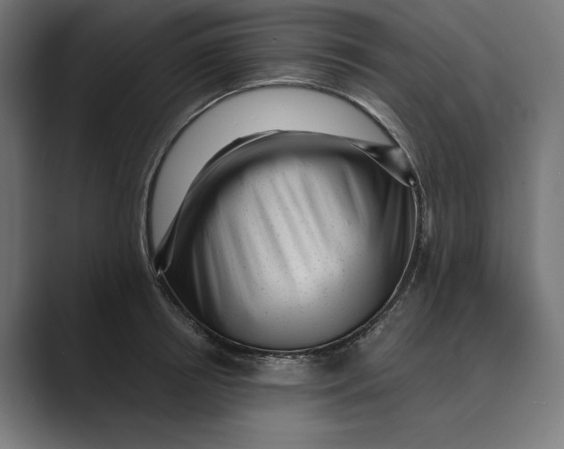 X0000088920850200706291526