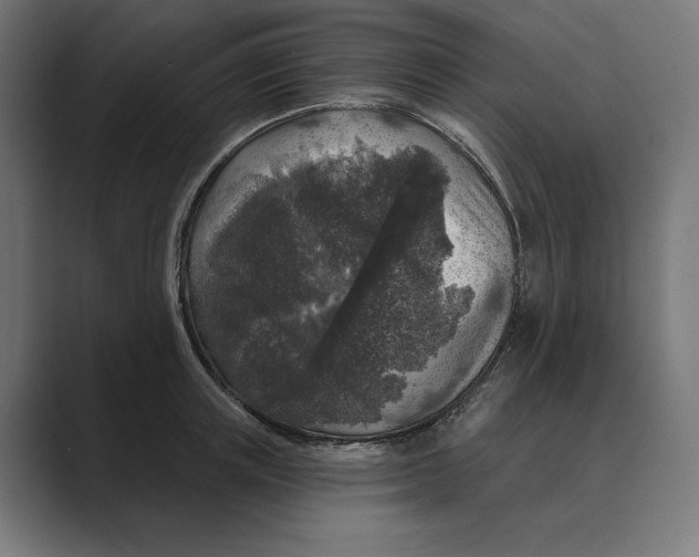 X0000088920851200706291526