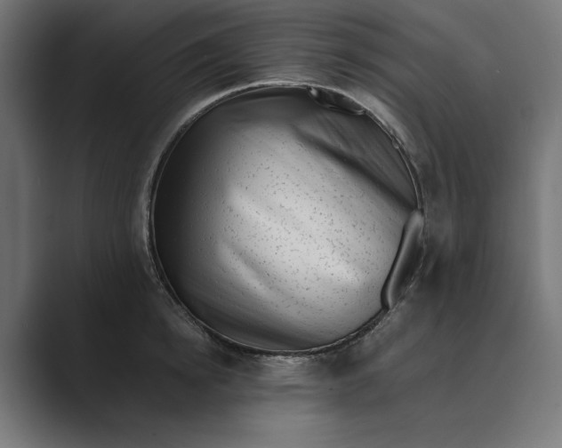 X0000088920854200706291526
