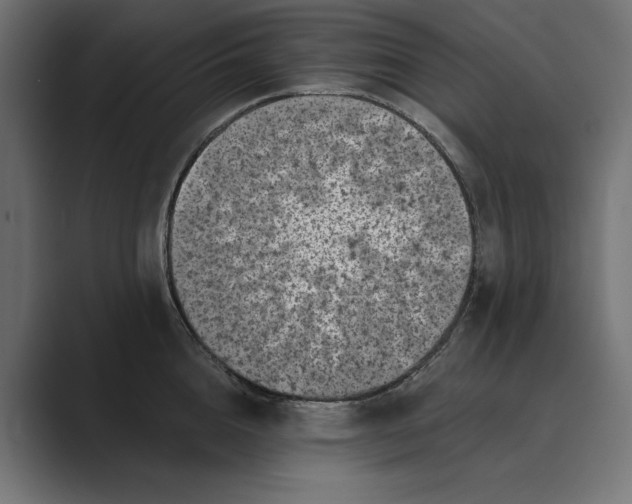 X0000088920856200706291526