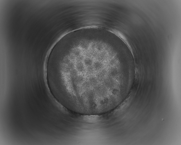 X0000088920859200706291526