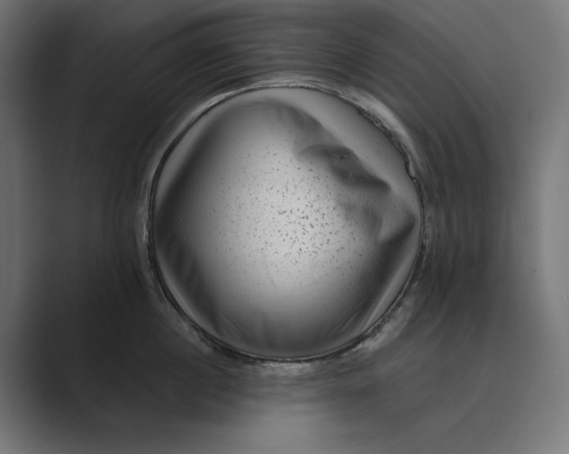 X0000088920860200706291526