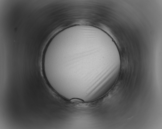 X0000088920861200706291526