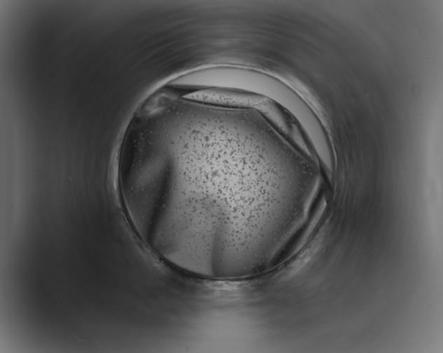 X0000088920862200706291526